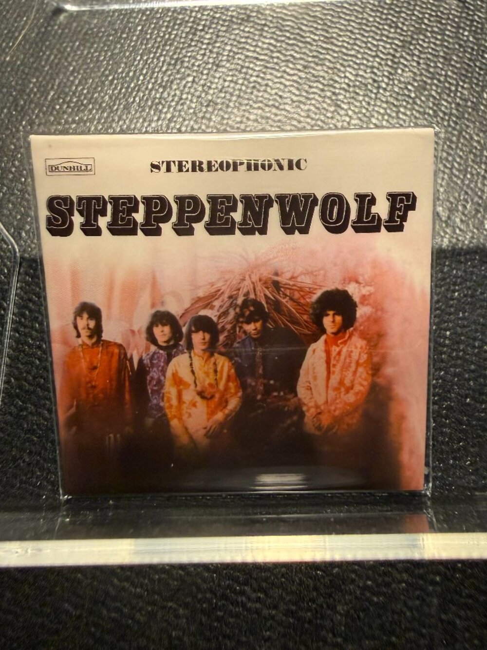 Mini Brands Vinyl Records-Steppenwolf-Born to be Wild-Common